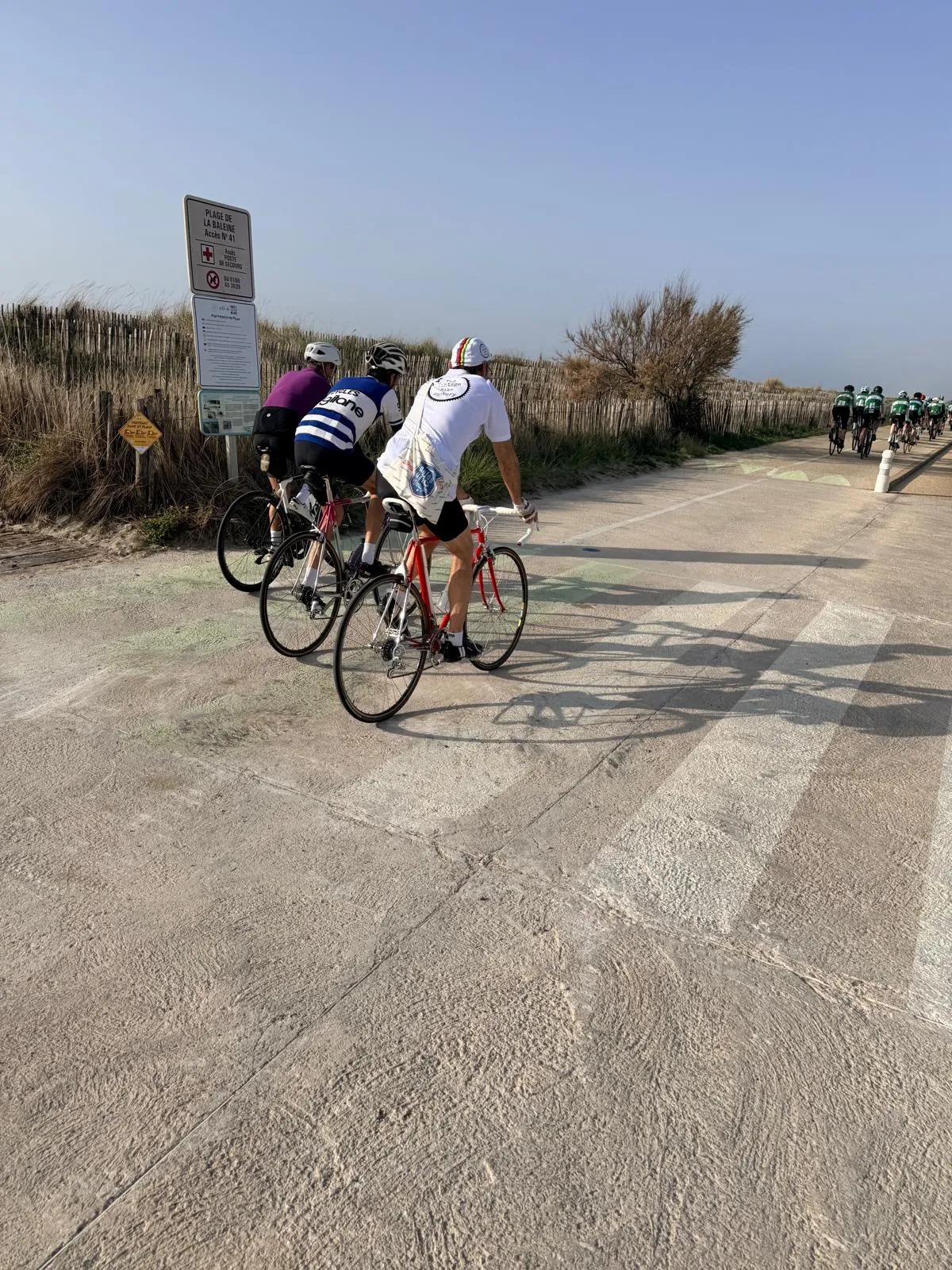 WhatsApp Image 2026-04-11 at 10.56.261245_12_11zon.webp